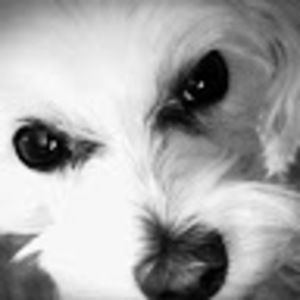 Meet your Posher, Lynn